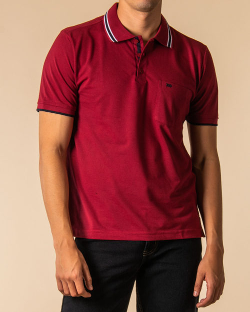 Camisa Polo